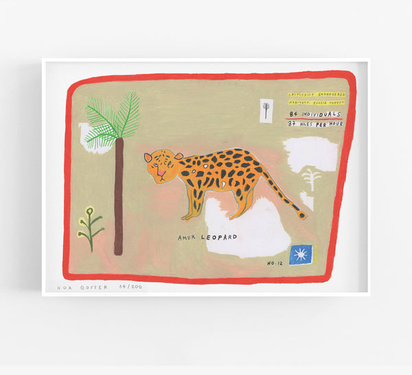 Amur Leopard