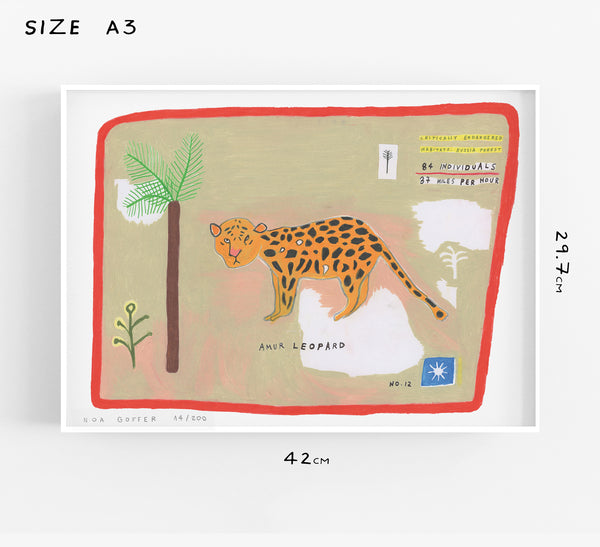 Amur Leopard