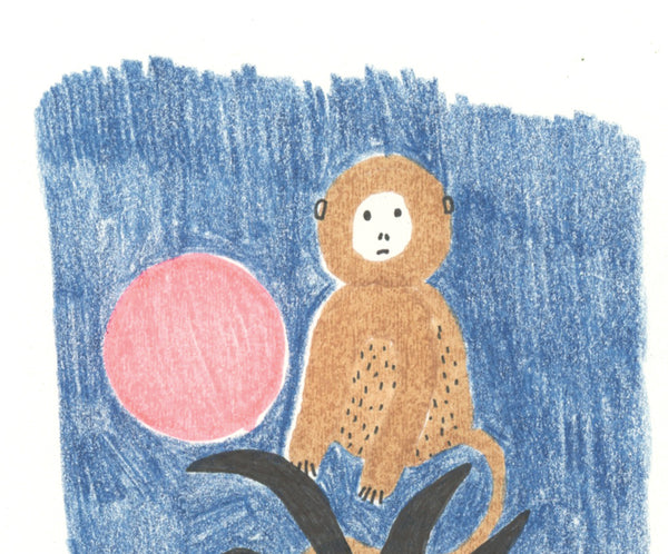 Monkey in the night