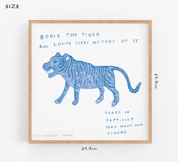 Blue Tiger