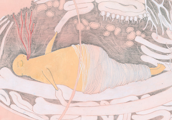 Pink Whale - Big Print