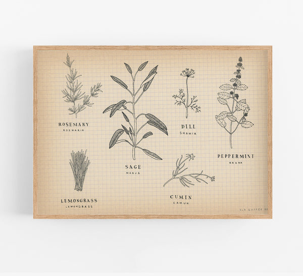 The Herb Family