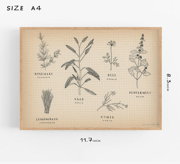 The Herb Family