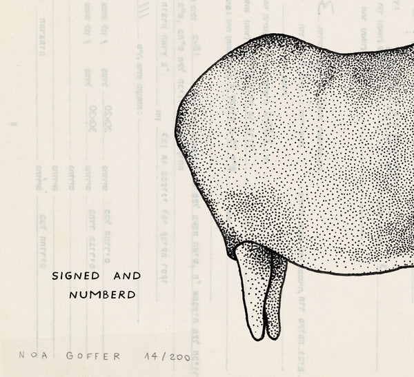Hippopotamous