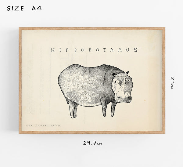 Hippopotamous