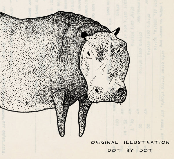 Hippopotamous