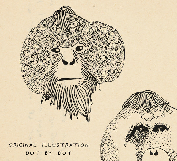 Orangutan
