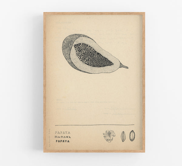 The Papaya