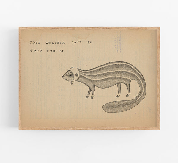 A Weasel