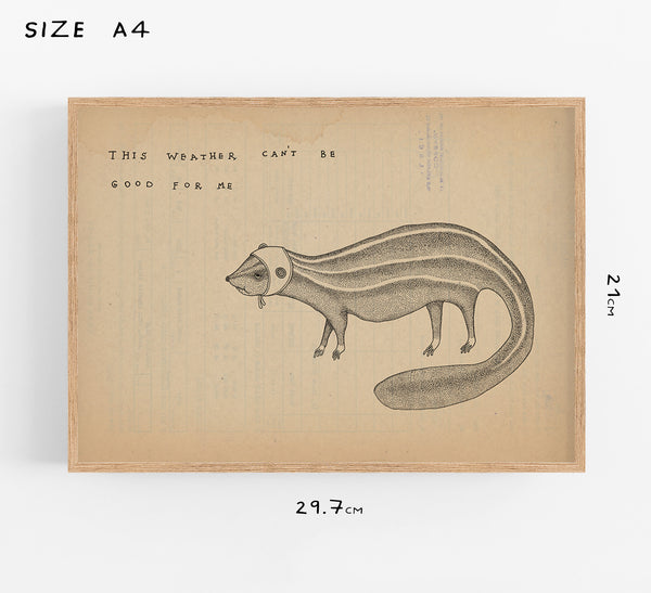 A Weasel