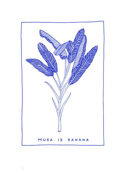 Musa is Banana - White T-shirt